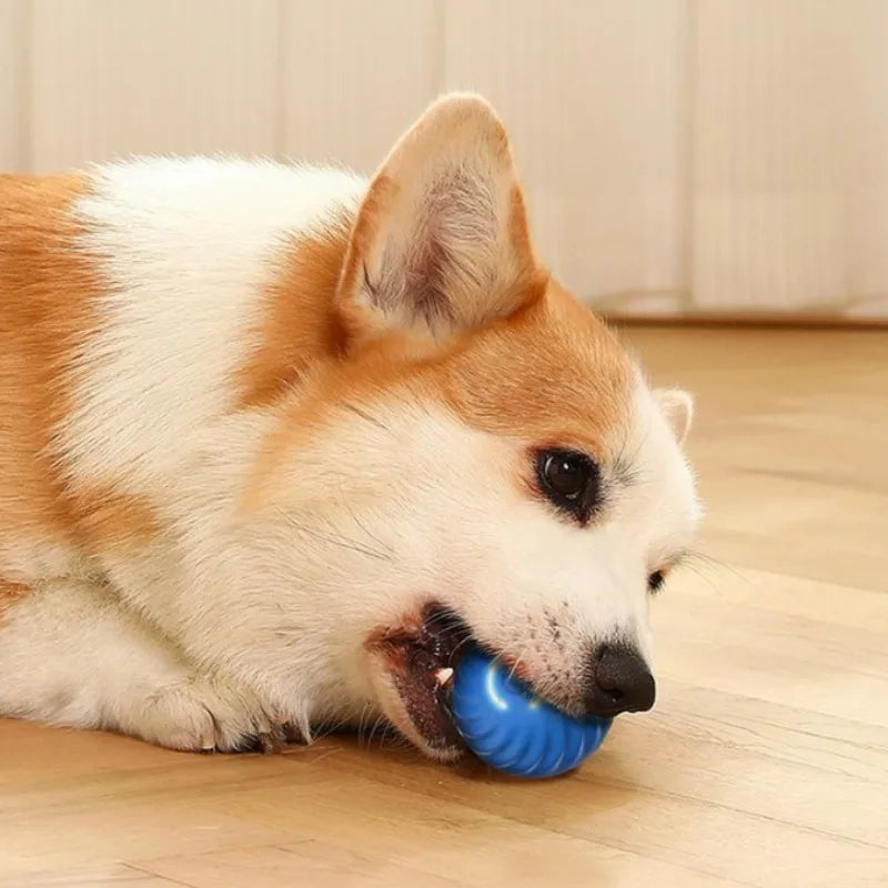 Smart Auto-Moving Dog Ball Toy — USB Rechargeable, Interactive Puppy Toy