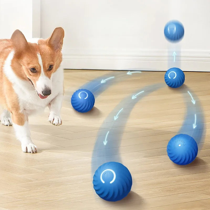 Smart Auto-Moving Dog Ball Toy — USB Rechargeable, Interactive Puppy Toy