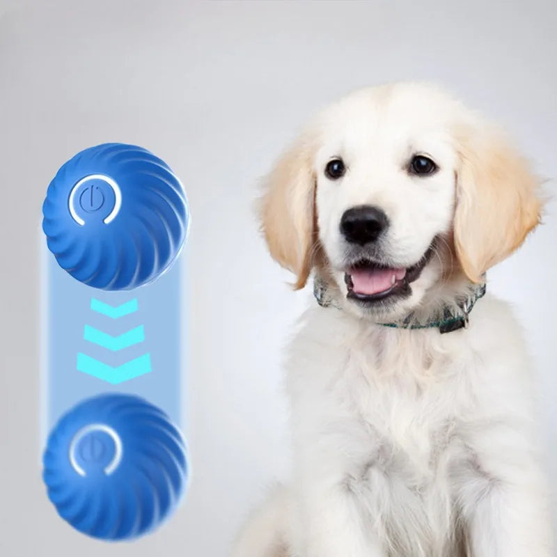 Smart Auto-Moving Dog Ball Toy — USB Rechargeable, Interactive Puppy Toy